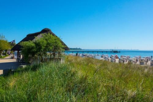 Fewo Knurrhahn 3/2 Haffkrug in Haffkrug