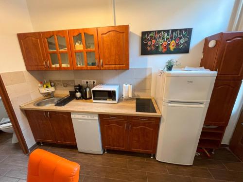 Garam Apartman at Danube - main image