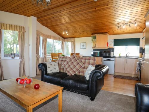 Ffrwd Lodge - main image