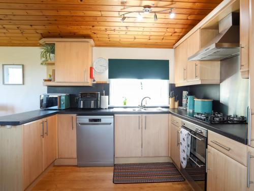 Ffrwd Lodge - image 14