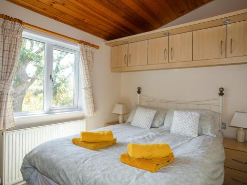 Ffrwd Lodge - image 8