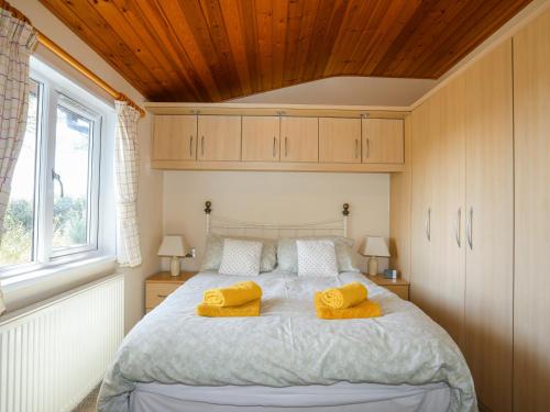 Ffrwd Lodge - image 4
