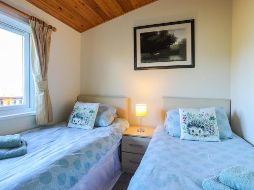 Ffrwd Lodge - image 7