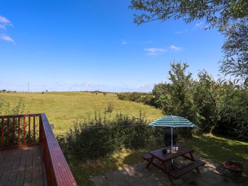Ffrwd Lodge - image 10