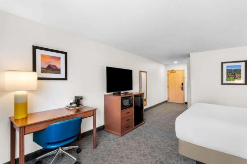 Comfort Inn & Suites - image 2