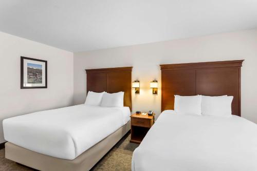Comfort Inn & Suites - image 13