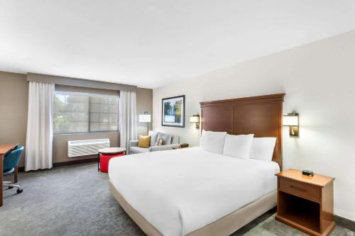 Comfort Inn & Suites - image 10