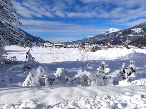 สภาพแวดล้อมโดยรอบ, Wiedehopf in รัทเทนดอร์ฟ