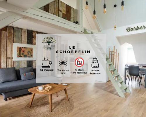 Le Schoepflin - Coeur de Strasbourg - Vue toits, Strasbourg