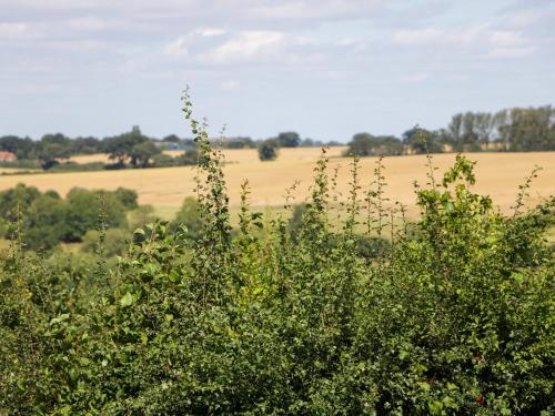 Henmarsh Cottage MORETON IN MARSH - image 5