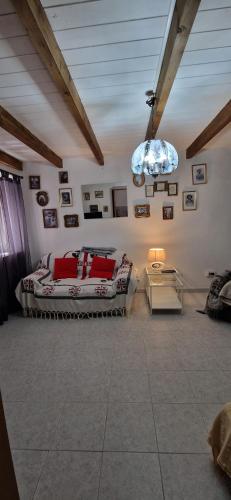 Bouganville in Villamar