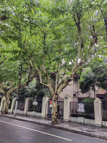 Shanghai Historical Forest Cabin loft With Balcony at second floor near middle Huaihai road, Šanghaj (fotografie 6)
