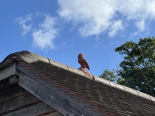 Lancasters Cottage - image 5