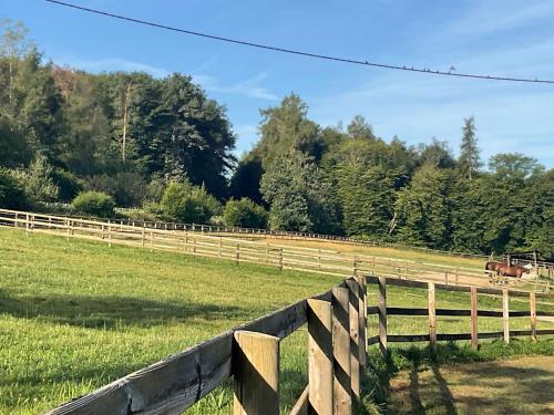 Surrounding environment, Etzauer Muhle im Taunus, Suite in Weilrod