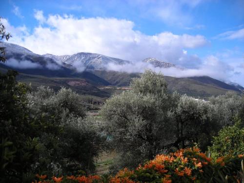 Casita muy romantica, tranquila y acogedora! in Orgiva