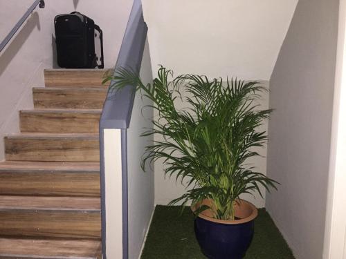 Miami 1BR apt W Free Parking and Wifi in Miami, USA