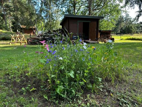 Kert, Ferien auf Husarö, Åsas Haus (Ferien auf Husaro, Asas Haus) in Svartso