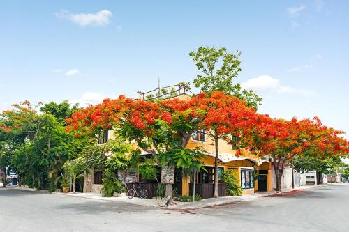 Maison Tulum