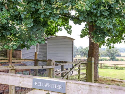 Bellwether - image 7