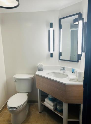 Brandon Center Hotel An IHG Property - image 14