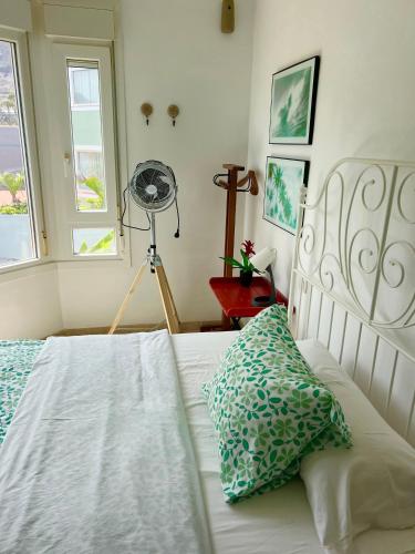  La SELVITA in Bajamar