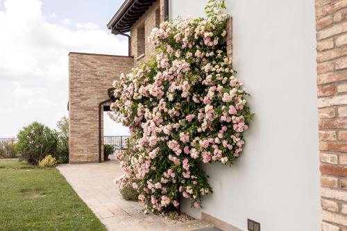 Kilátás, Villa Agavi in Marano sul Panaro