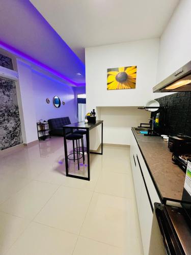 One-Bedroom Apartment image 9