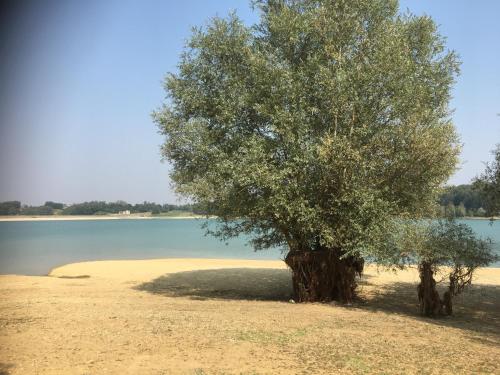 Chez Christian in L'Isle-en-Dodon