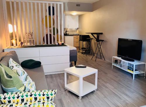 Közös társalgó / TV, Sentralt beliggende studioleilighet in Gol