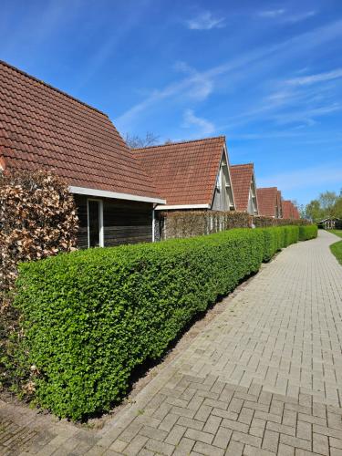 Eureka Vakantiehuisjes - image 11