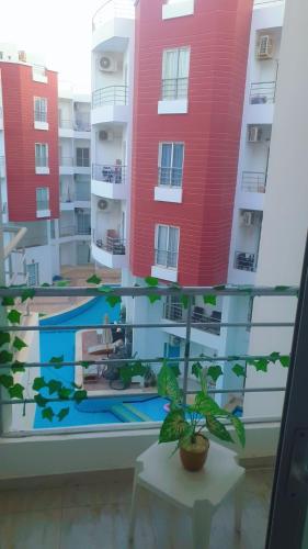 Hotel Room in Aqua Palms Hurghada in Al Ahyaa