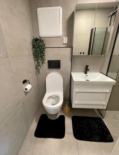 Modern apartment ONLY 5 minutes from City Centre in Külváros