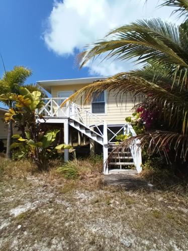 Vista exterior, Scena's Place in Alice Town
