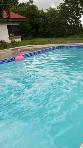 daBene - Bed & Breakfast, Alajuela