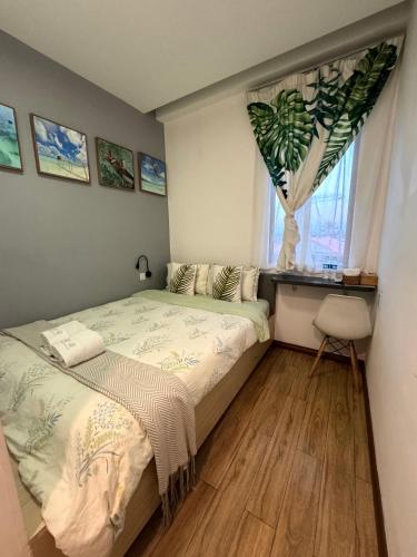 Infinity Guesthouse Infinity Guesthouse