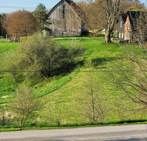 Farmhouse, Simcoe (foto 3)