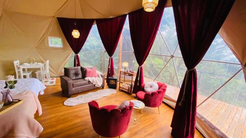 . Felisa Rainforest Domes