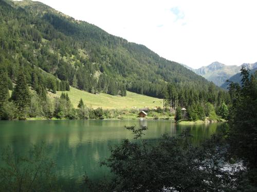 ที่เที่ยวใกล้ที่พัก, Wiedehopf in รัทเทนดอร์ฟ