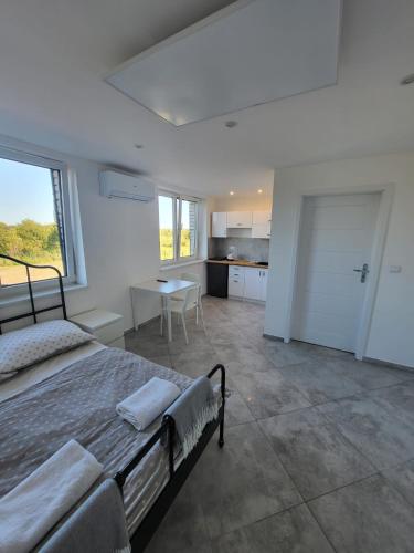 Apartamenty Łokciowe (Apartamenty Lokciowe) in Lokciowe