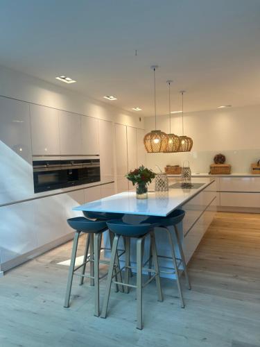 Luxurious Villa - 100 m from the Elbe beach Falkensteiner Ufer, Hamburk (fotografie 4)