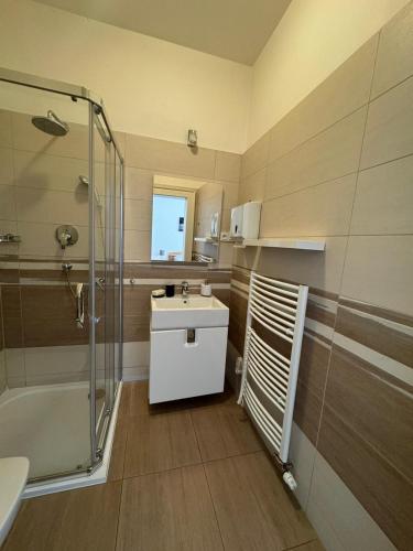 Palackeho Apartment, Praha (fotografie 9)