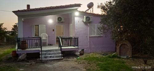 Korina house