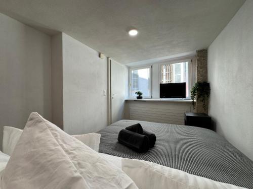 Appartement au rez-de-chaussée en vieille ville de Porrentruy (Appartement au rez-de-chaussee en vieille ville de Porrentruy) in Porrentruy