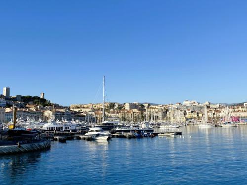 Luxury Cannes - Tap to explore photos