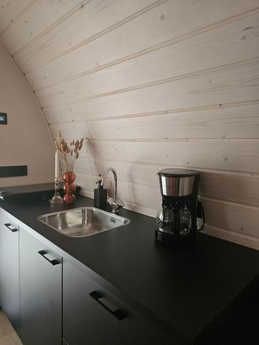 Tiny House De Kwekfink in Westergeest