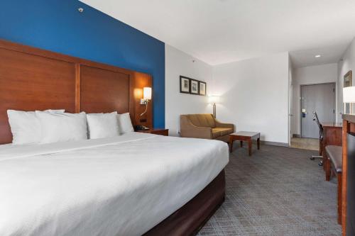 Comfort Suites Lombard/Addison - image 2