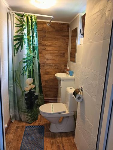 Casa Family Time in Cavnic