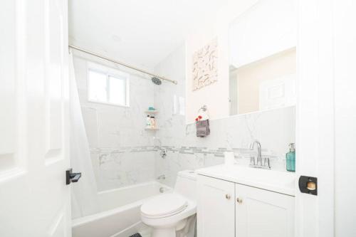 Tranquil 3BR Boston Apt w Balcony, Parking, Bathtub near Franklin Park Zoo 303 - Tap to explore photos