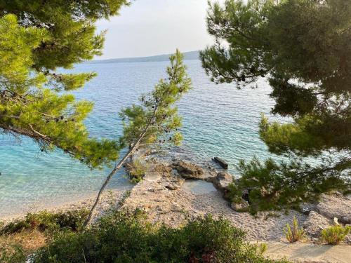 A környék, Zavala Residence in Zavala