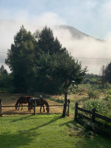 Domek pod smrekami obrázok